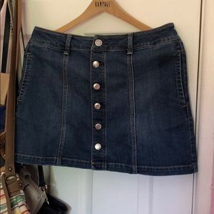 AE Denim Skirt